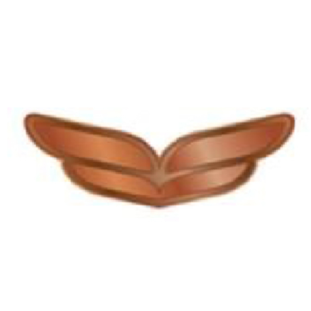 Bronze Pin