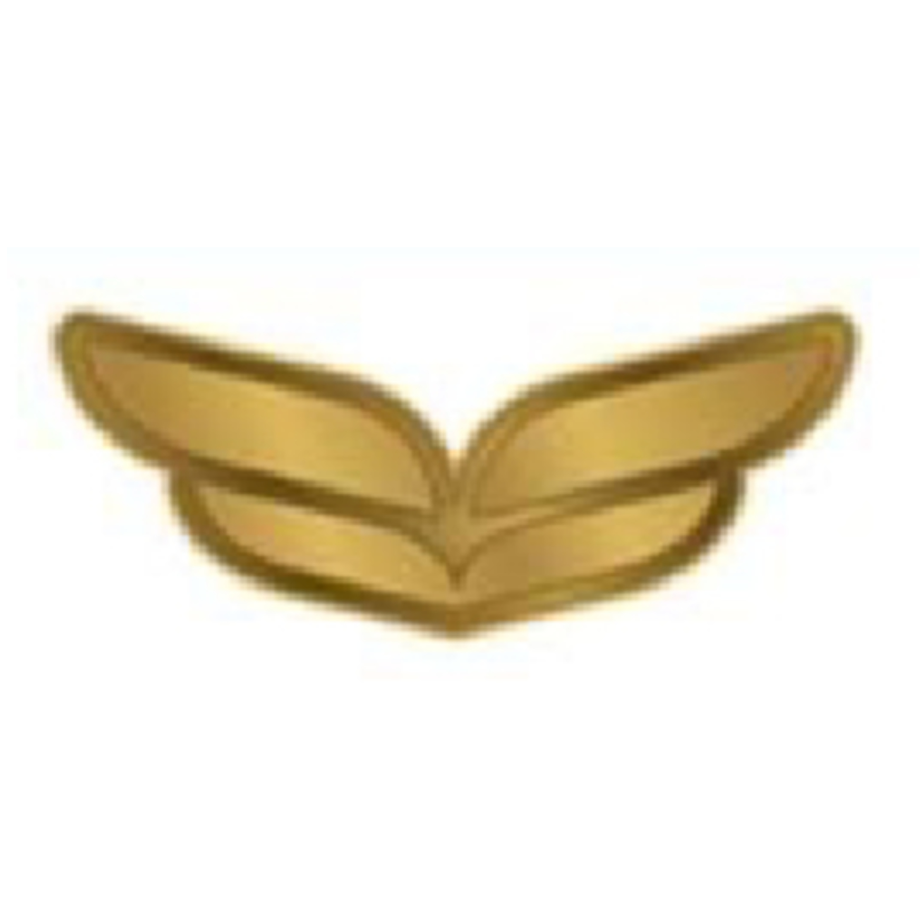Gold Pin