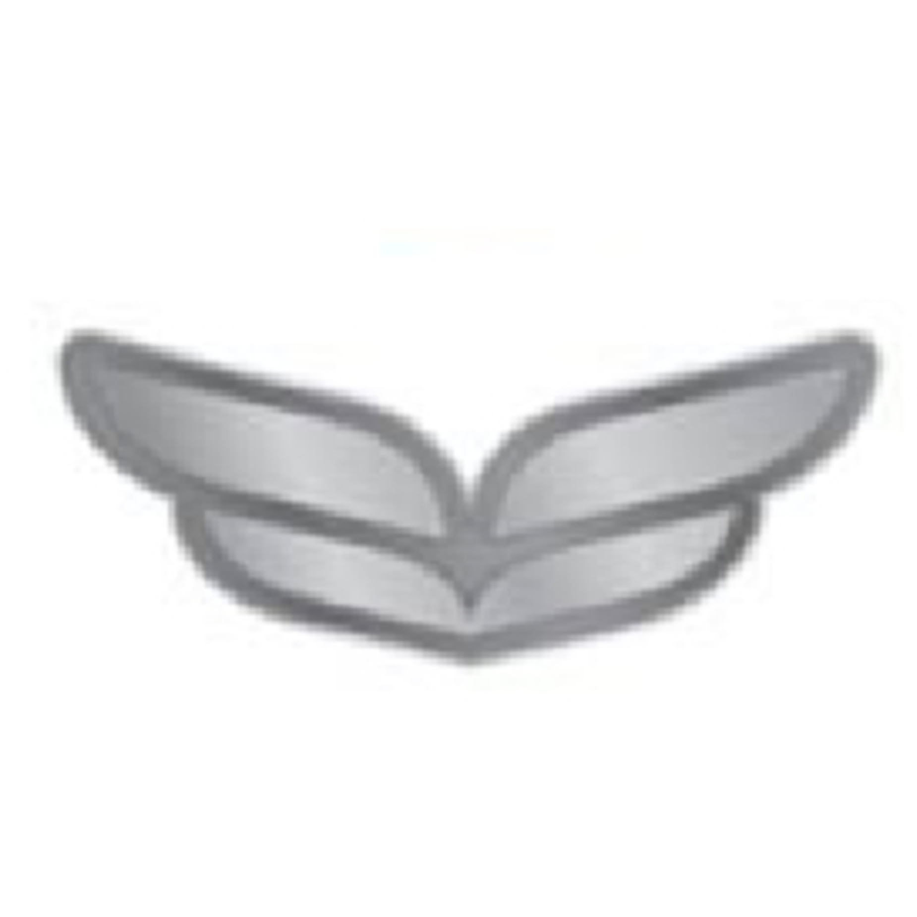 Silver Pin