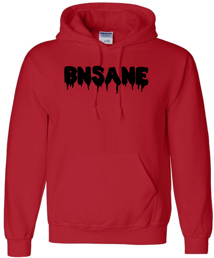 BNSANE863