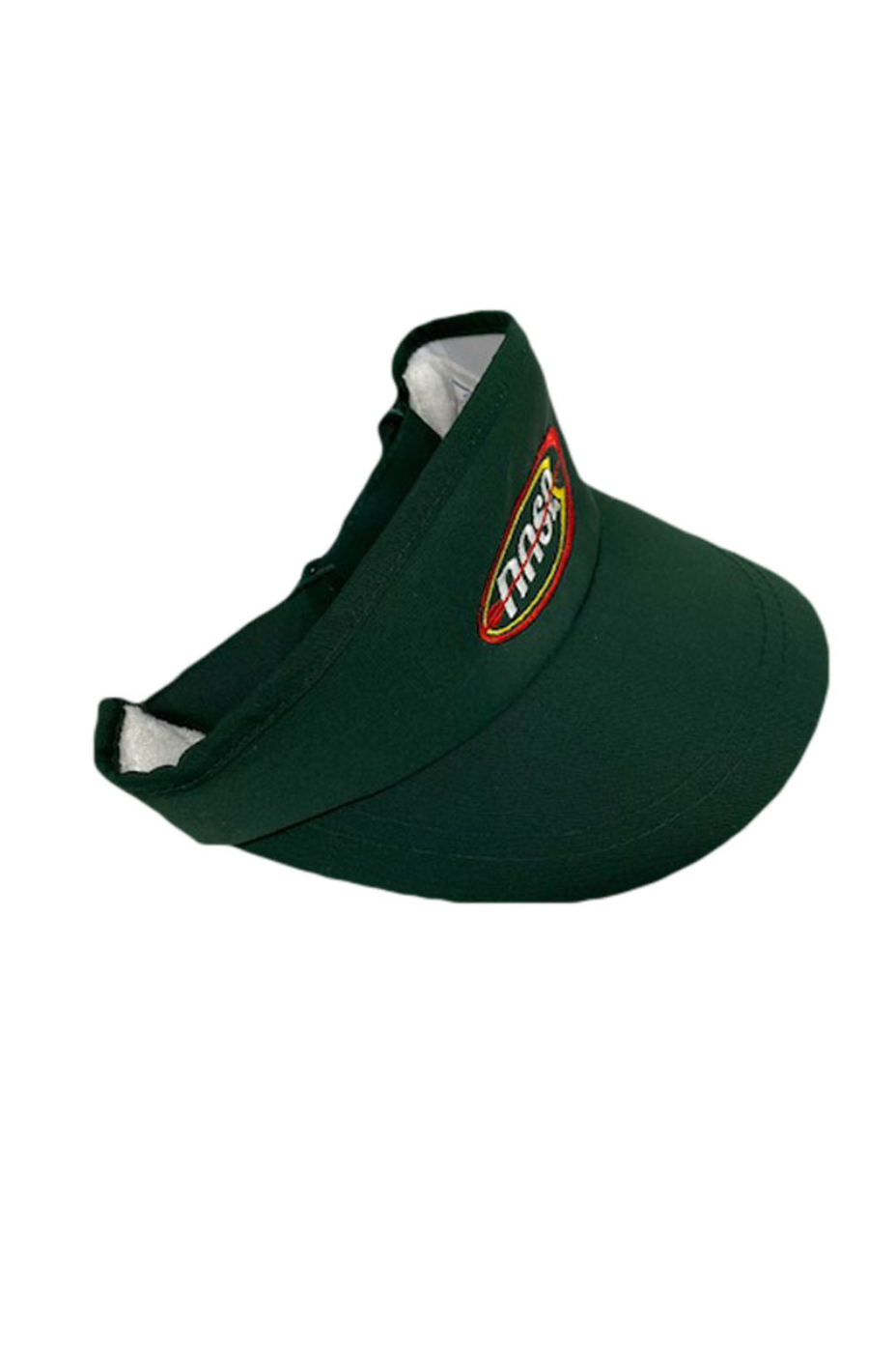 NASP® Visor