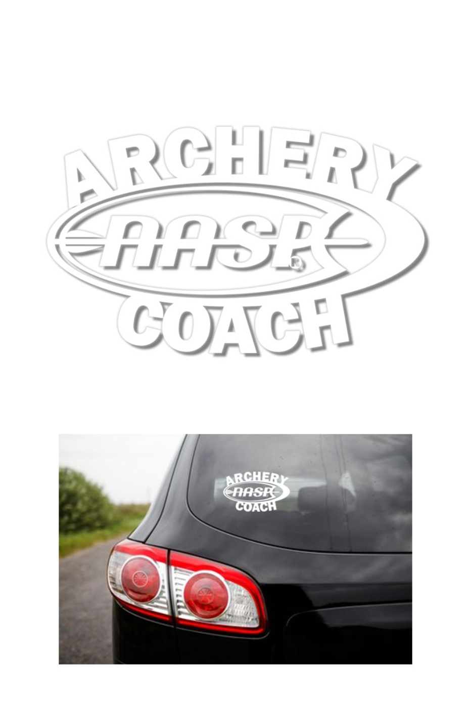 NASP® Cut Out Decal