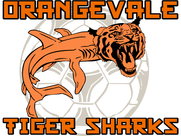 Tiger sharks