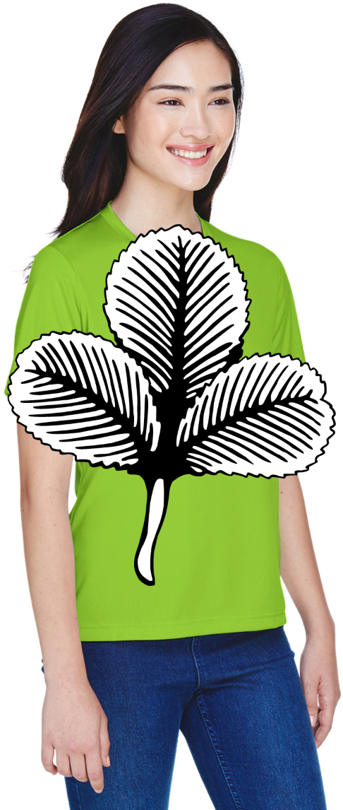 Design #28208