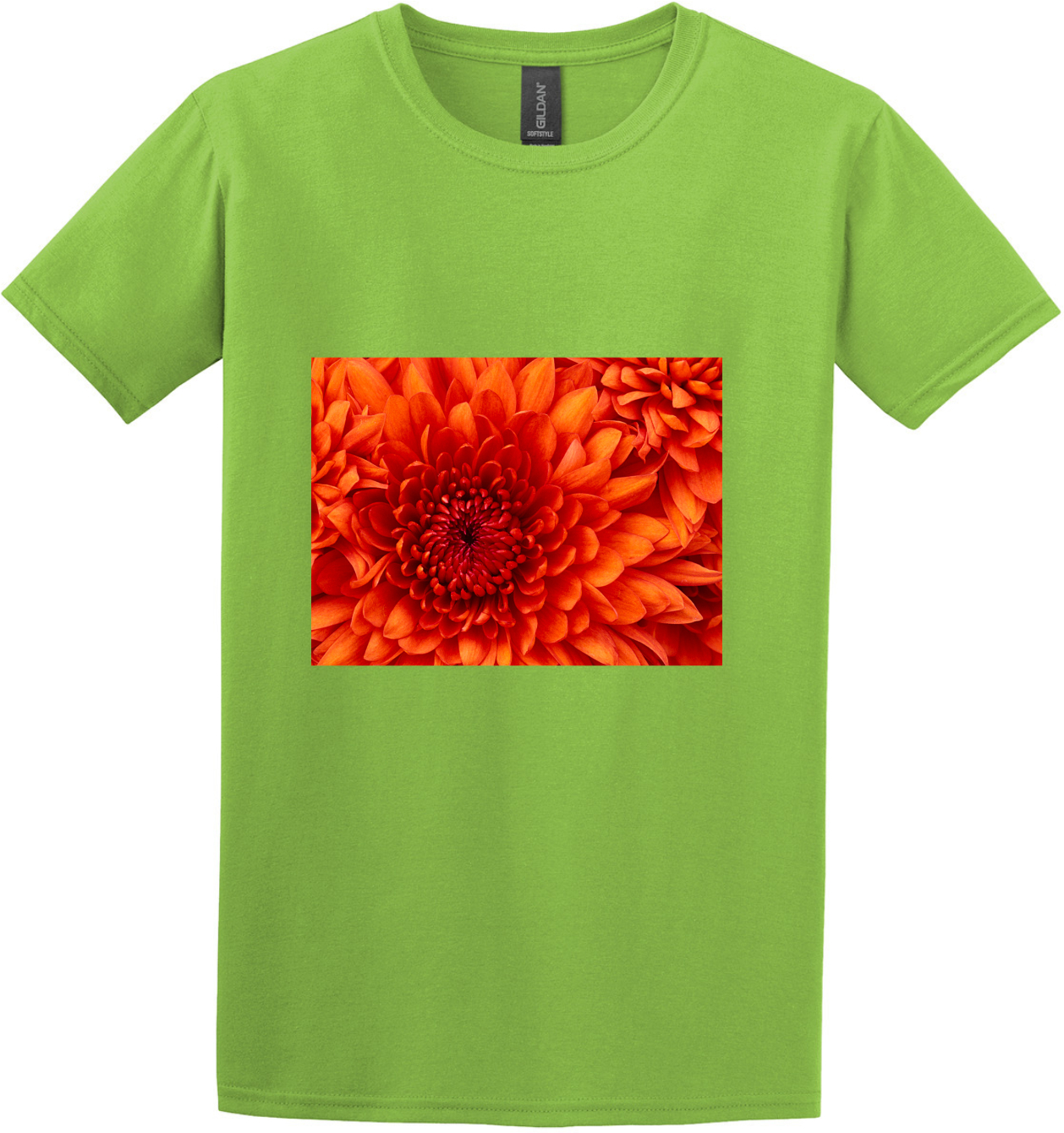Design #34126