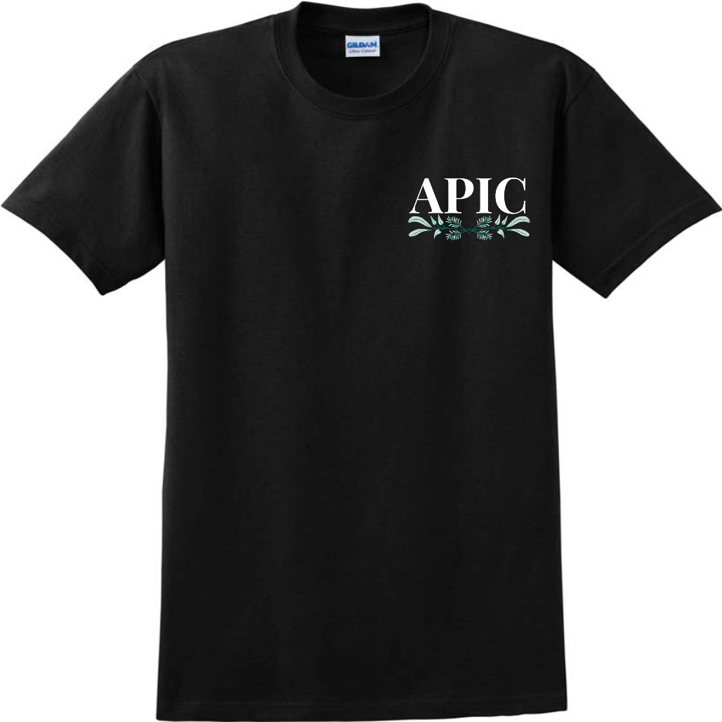 apic csueb shirt