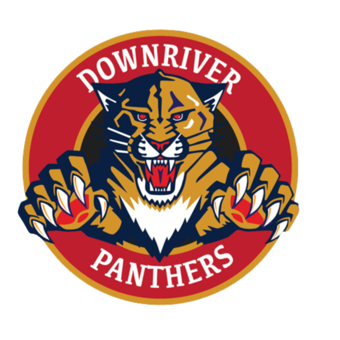 Panthers 11"
