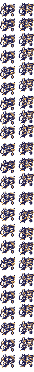 Student Council