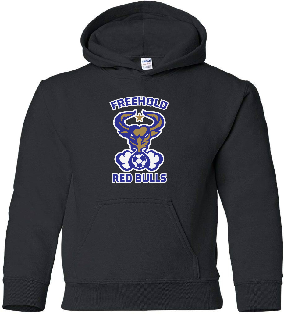 Youth Hoodie