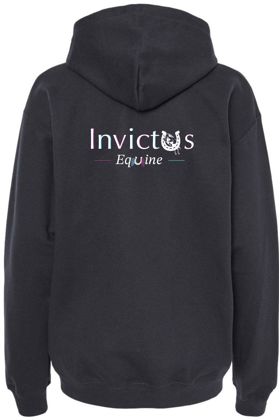 Invictus Soft Style Hoodie
