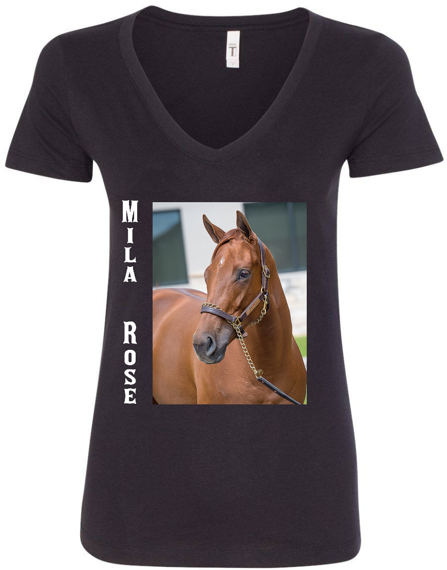 Design #29057