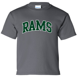 Central Dauphin Standard Youth Tee
