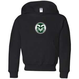 Central Dauphin Standard Youth Hoodie