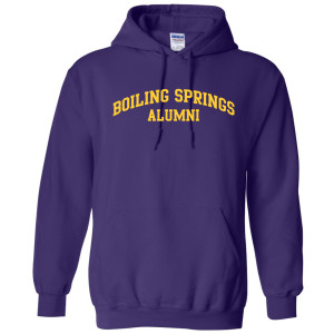 Boiling Springs Standard Hoodie - ALUMNI