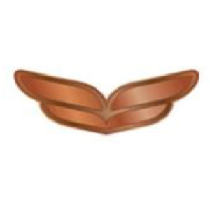 Bronze Pin
