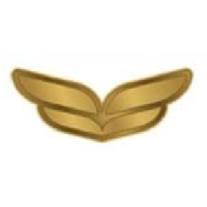 Gold Pin
