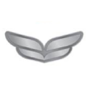 Silver Pin