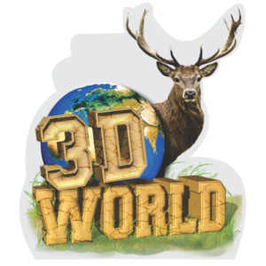 NASP® 3D World Decal