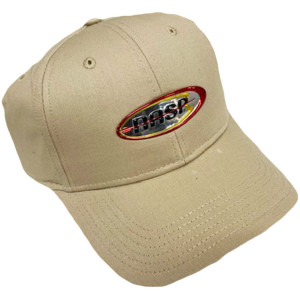 NASP® Foil Logo Cap