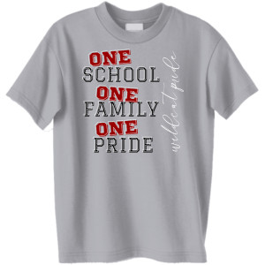 Youth - SS T - S Gray - One School
