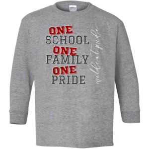 Youth - LS T - S Gray - One School