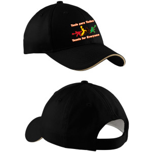 TFE - Sandwich Bill Cap - CP85