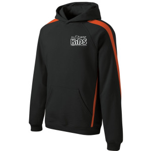 Sport-Tek® Sleeve Stripe Pullover Hooded Sweatshirt – ST265 (White Logo)