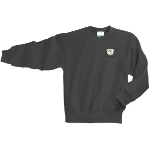 PC90Y Charcoal CURE Sweatshirt YOUTH