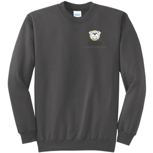 PC78 Charcoal CURE Sweatshirt ADULT