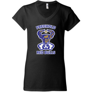 Ladies V-Neck