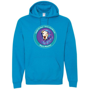 Pullover Hoodie - Large Logo