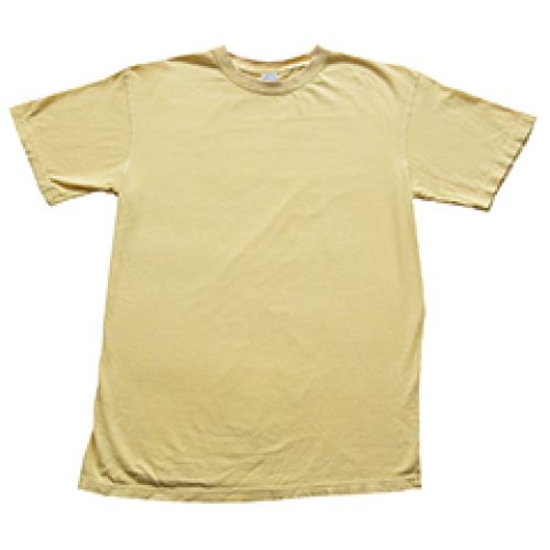 Collegiate Cotton T-Shirt