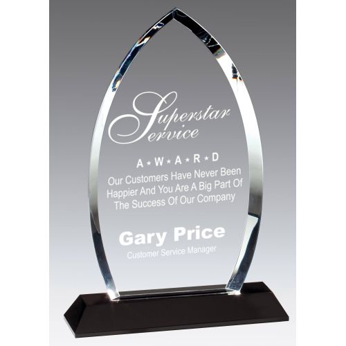 6-1/2"x9-1/2" Engraved Crystal Award