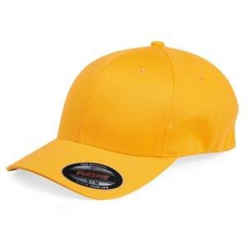 6 Panel Curved Bill-Flexfit