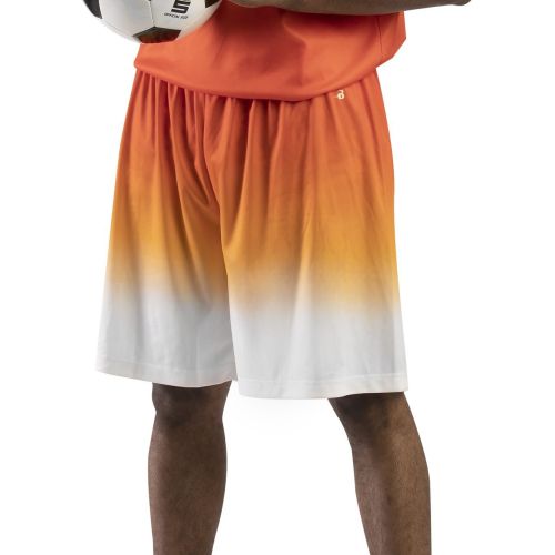 Ombre Shorts