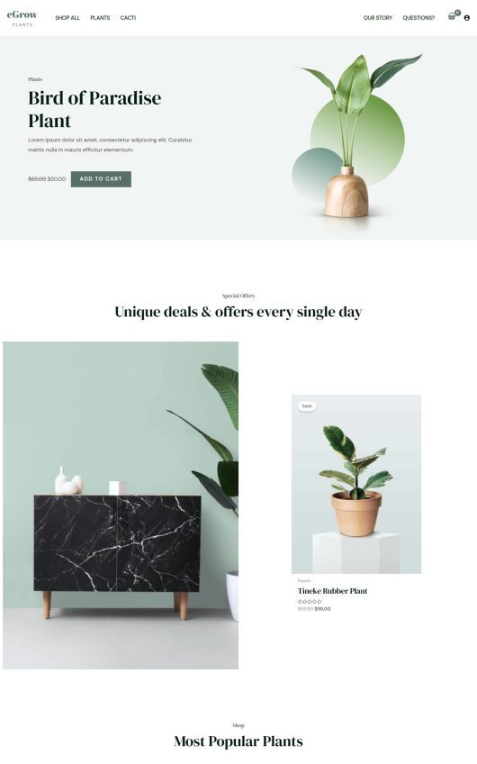 astra_template_preview