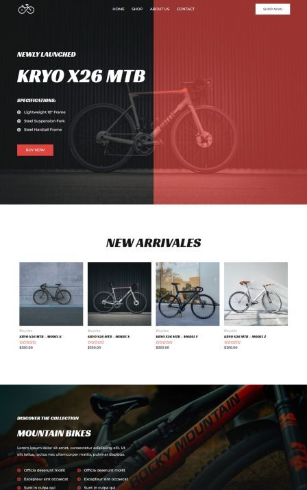 cycle-shop-02-home-scaled-astra_template_preview
